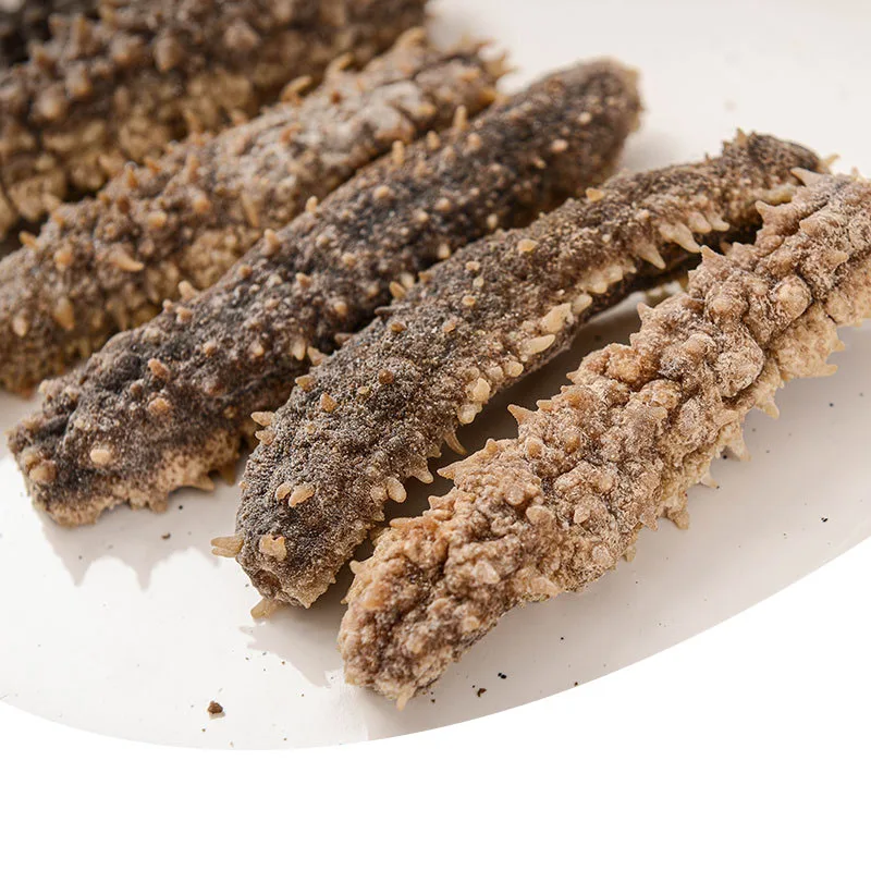 Dried Sea Cucumber Fresh Sea Cucumber Bulk Supply Buy Dried Sea