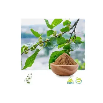 Epimedium Plant Food Icariin Epimedium Extract Powder Horny Goat