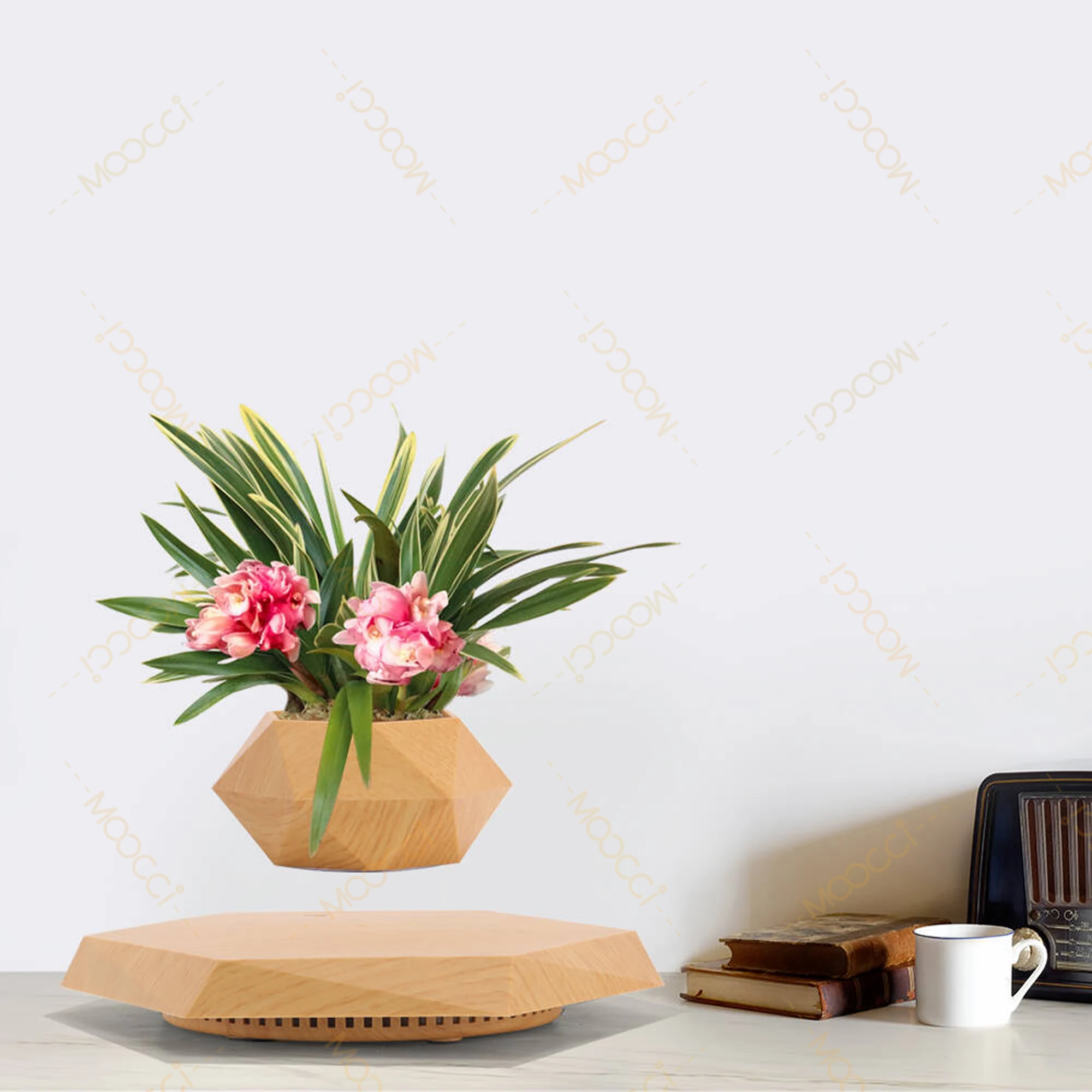 Flying Plant Pot (4)
