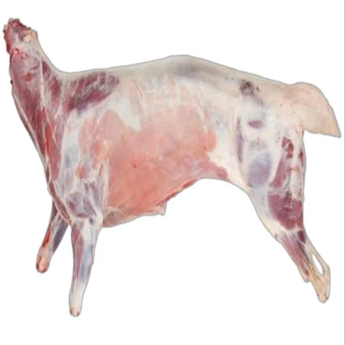 Fresh Chilled Goat Mutton Meat Lamb Meat Carcass Ready For Export