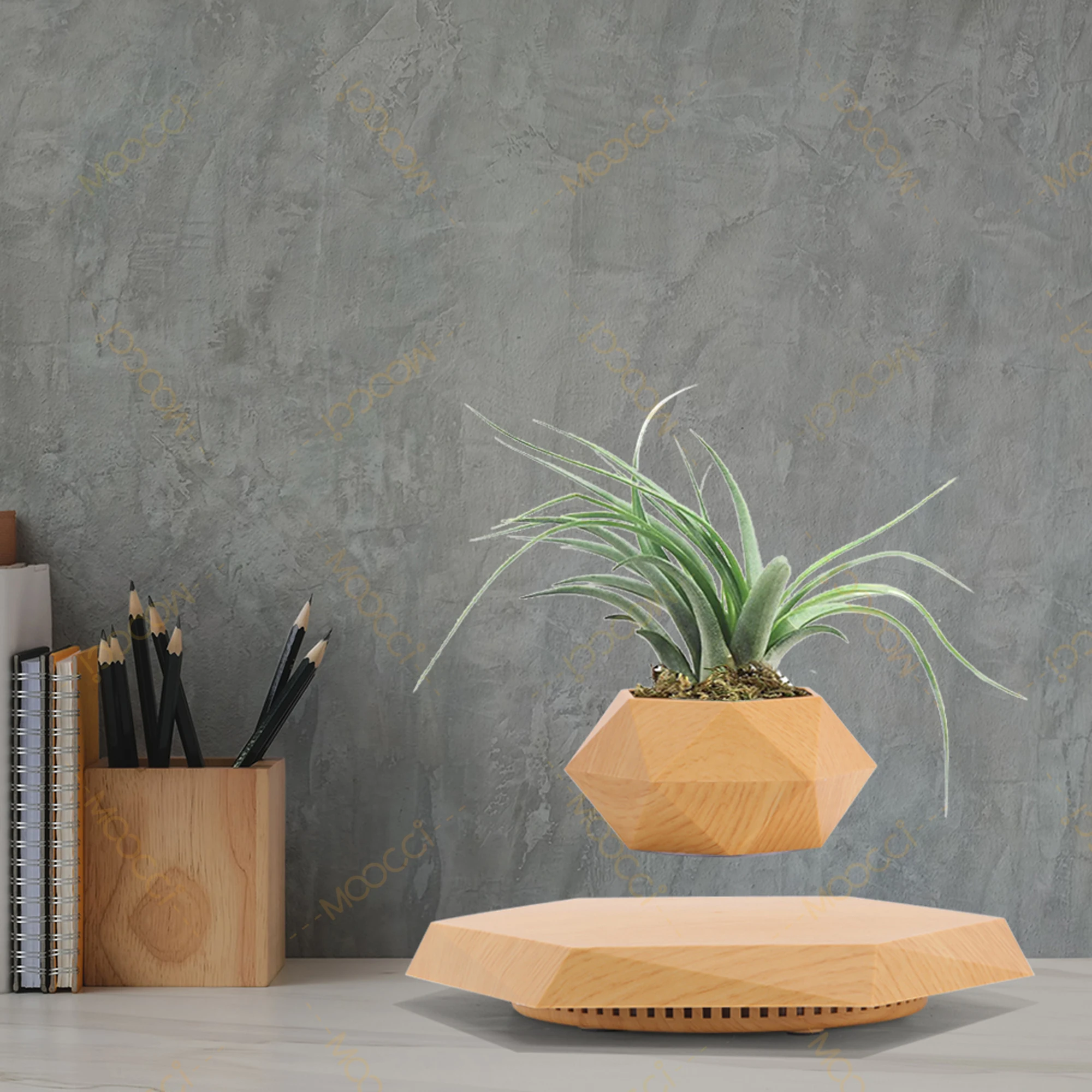 Flying Plant Pot (10)