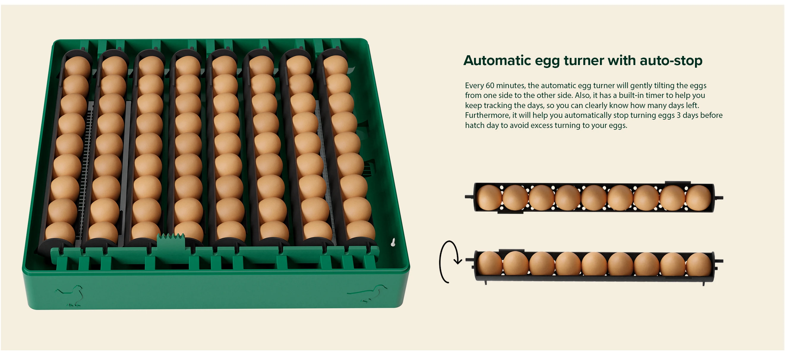 Eggs Capacity and Fan, PROFI, C-72 - detail 16