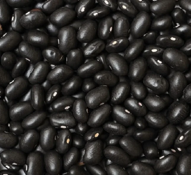 black beans 02.PNG