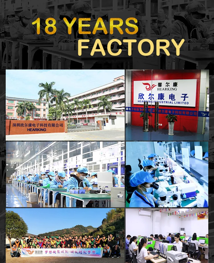 Factory 18y-HearKing.png