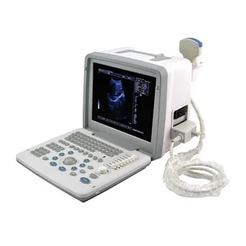 S300 Full Digital LED Professional Therapy Portable Ultrasound Device Hot Sale Cheap Price
