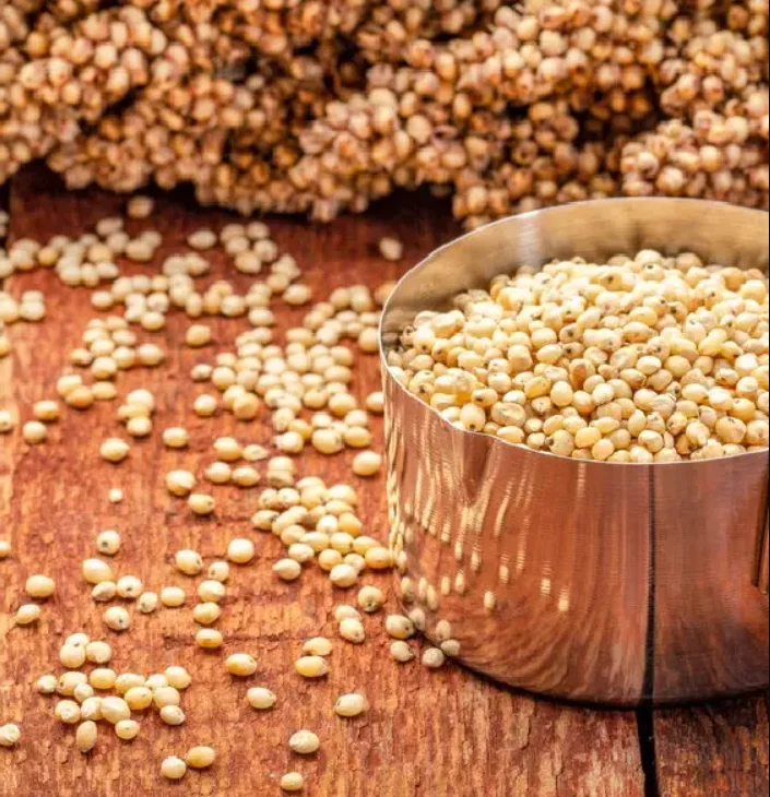 2023 Sorghum White Milo Sorghum Grains Sorghum Price Per Ton For Sale