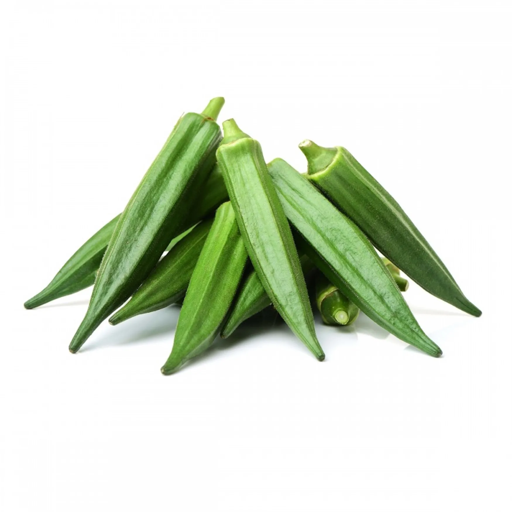 okra10.jpg