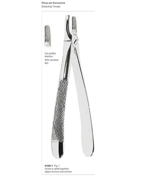 Straight Dental Extracting Forceps For Upper Incisors And Canines Made