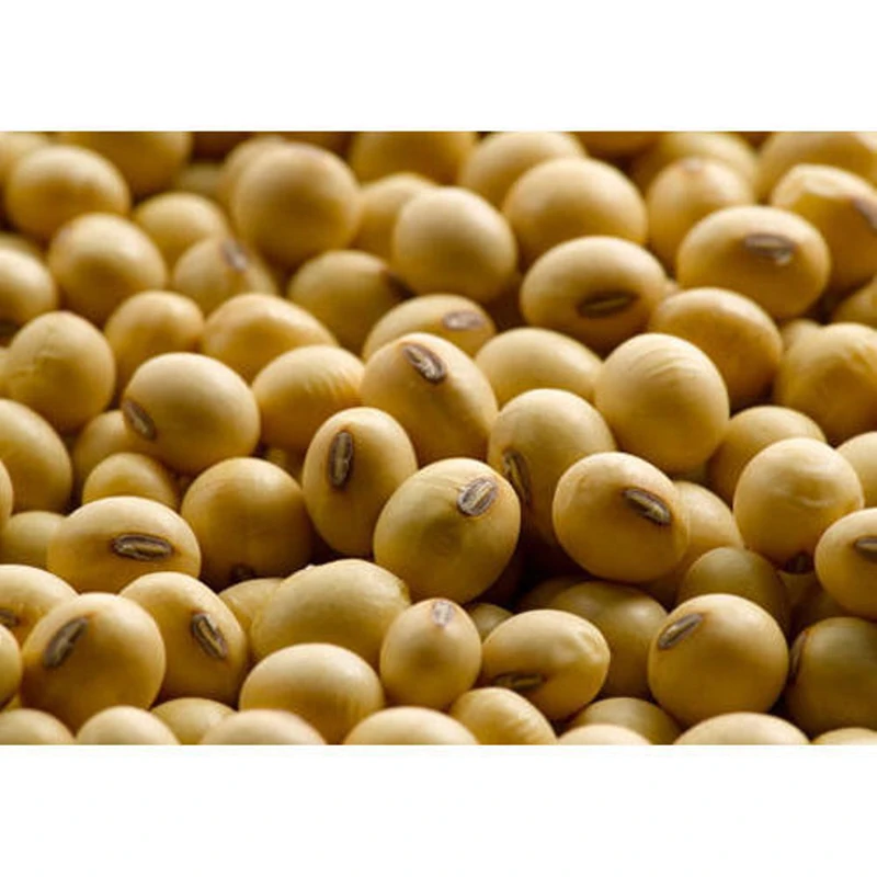 soya-bean-500x500 (1).jpg