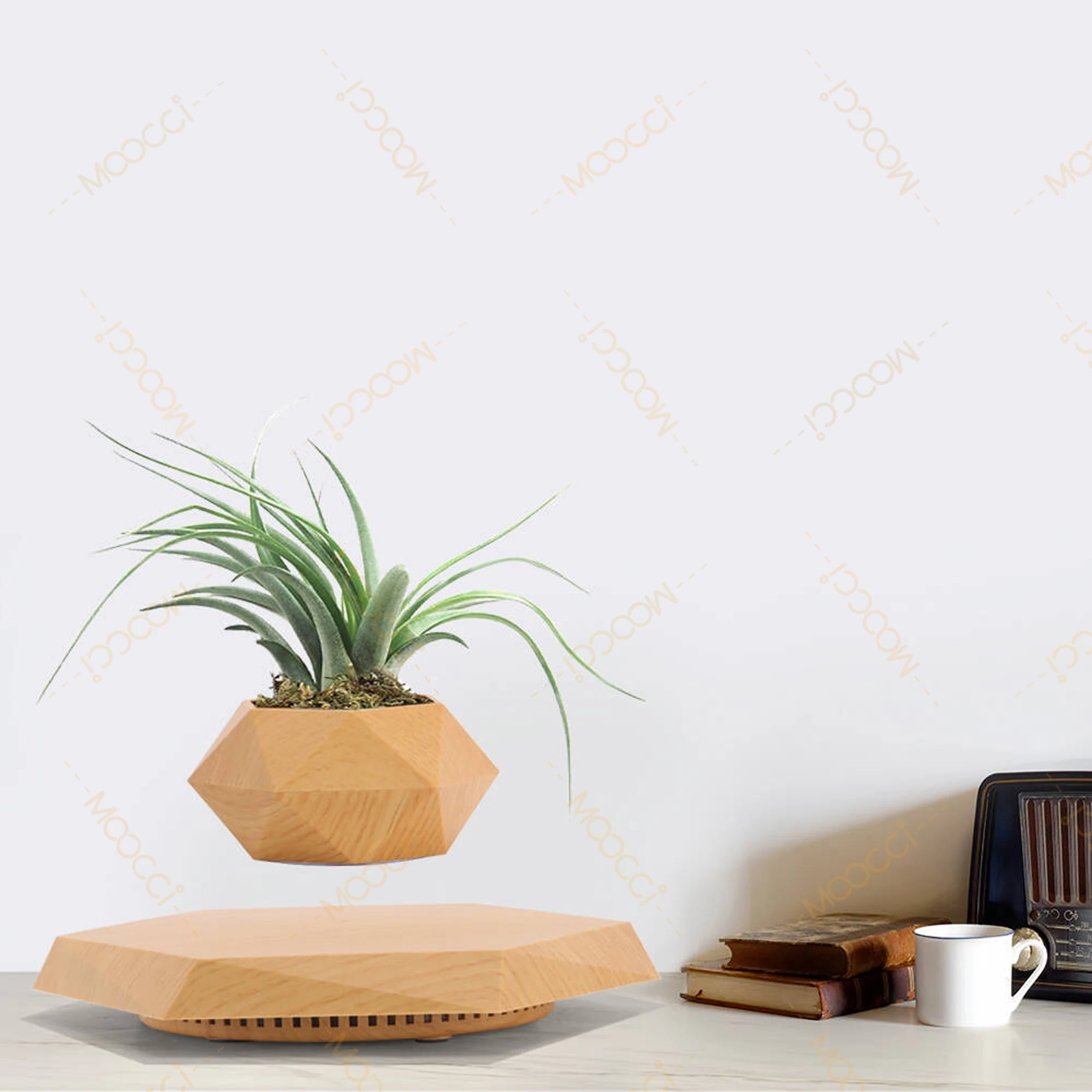 Flying Plant Pot (13)