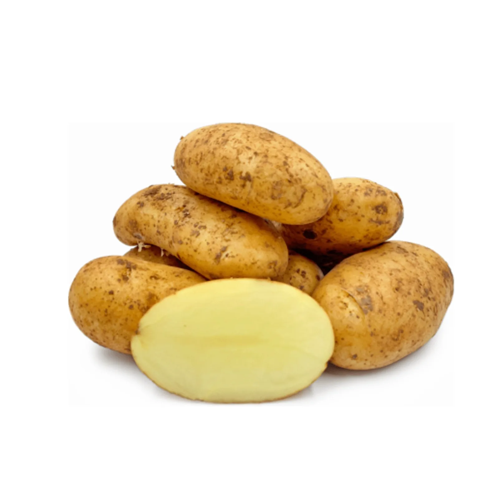 High Quality Fresh Potato Packed with Carton Egypt Factory Directly Export
