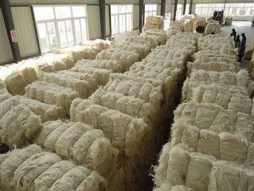 Sisal Fiber1.jpg