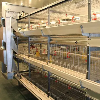 Poultry Farm Automatic Equipment H Type 4 Tiers 120 Capacity Broiler Cages Chicken Battery Cage