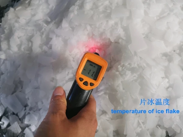 Ice Machine, 220V, 1000kg - detail 14