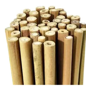 Bamboo Cane Bambu Stick Bamboo Pole For Plant Support Rods Or Bamboo