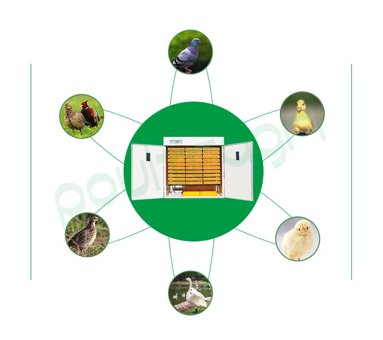 Cross Flow Fans, Solar, 99%, ISO9001 - detail 4