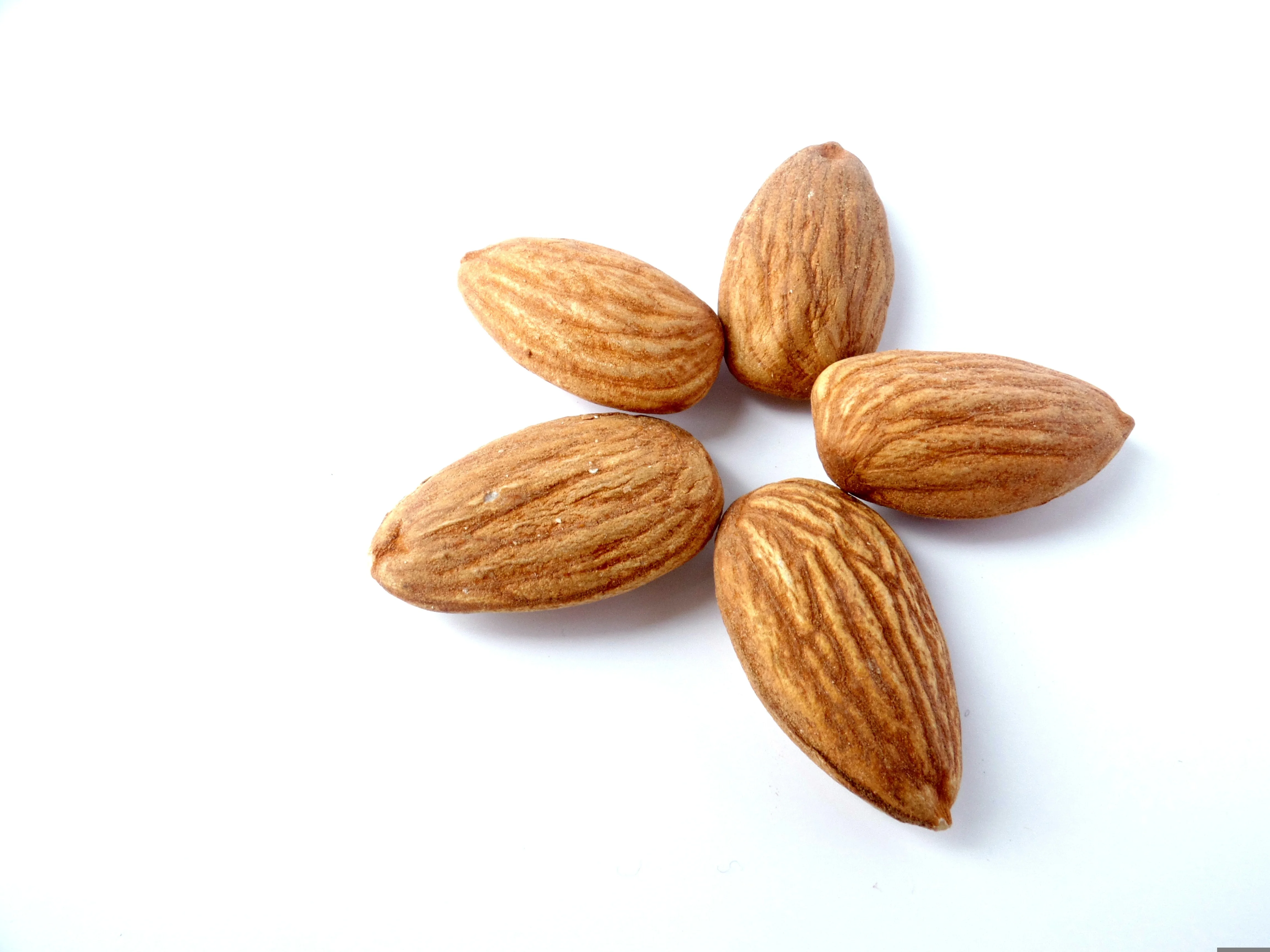 almond-1569246.jpg