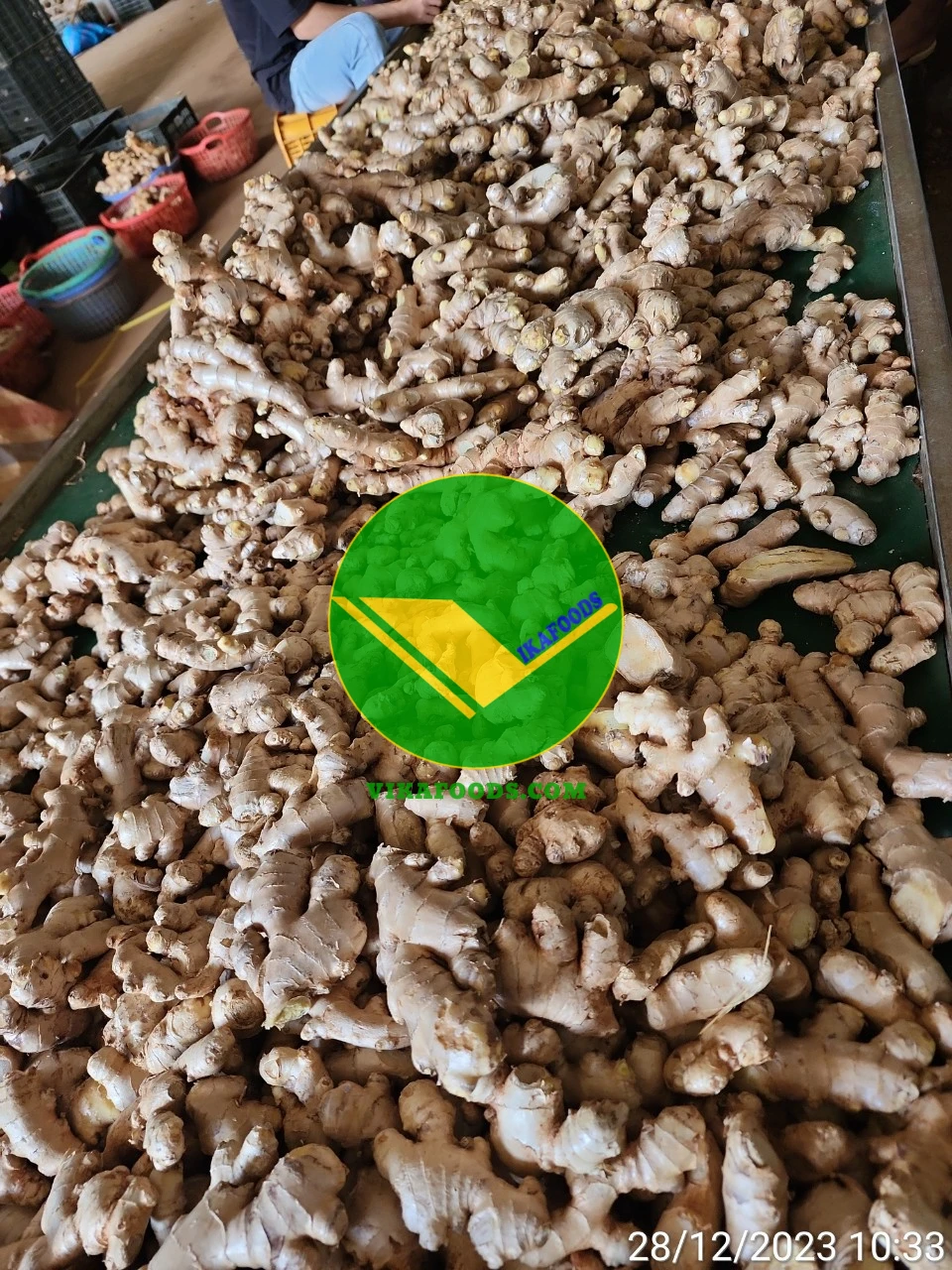 想做生姜批发不知道怎么做