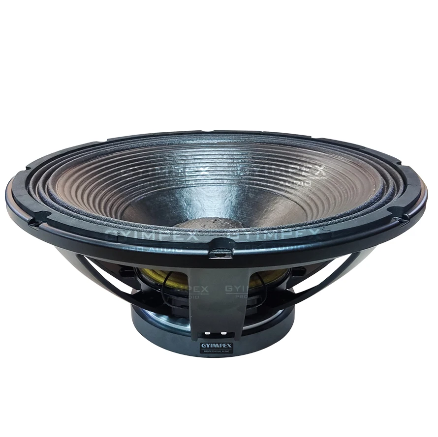 21 inch p audio 2000 watt speaker price