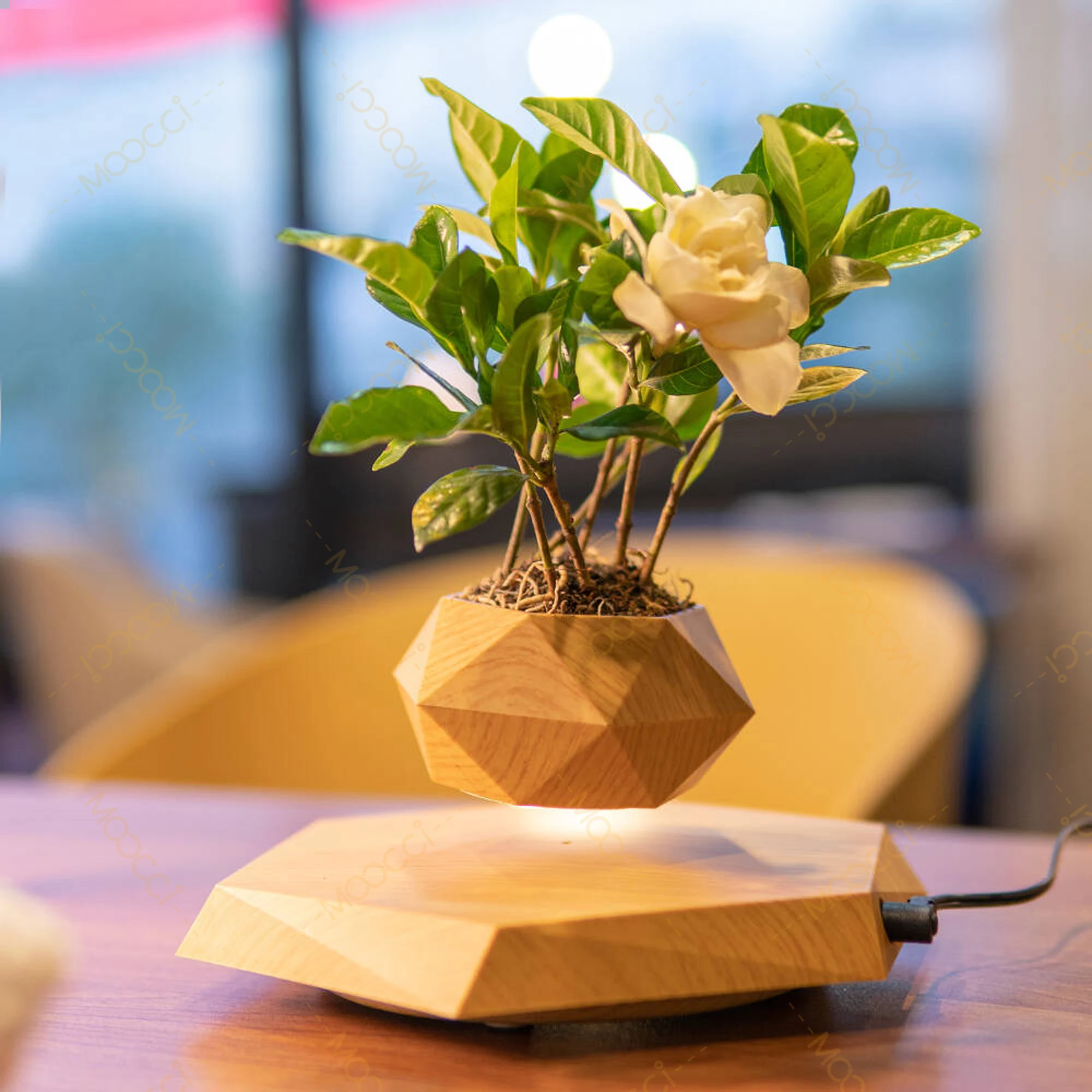 Flying Plant Pot (11)