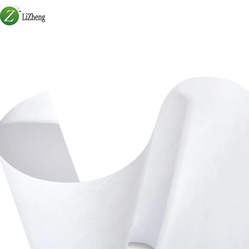 Lizheng Waterproof Printable D Tyvek Paper Fabric Roll Primary