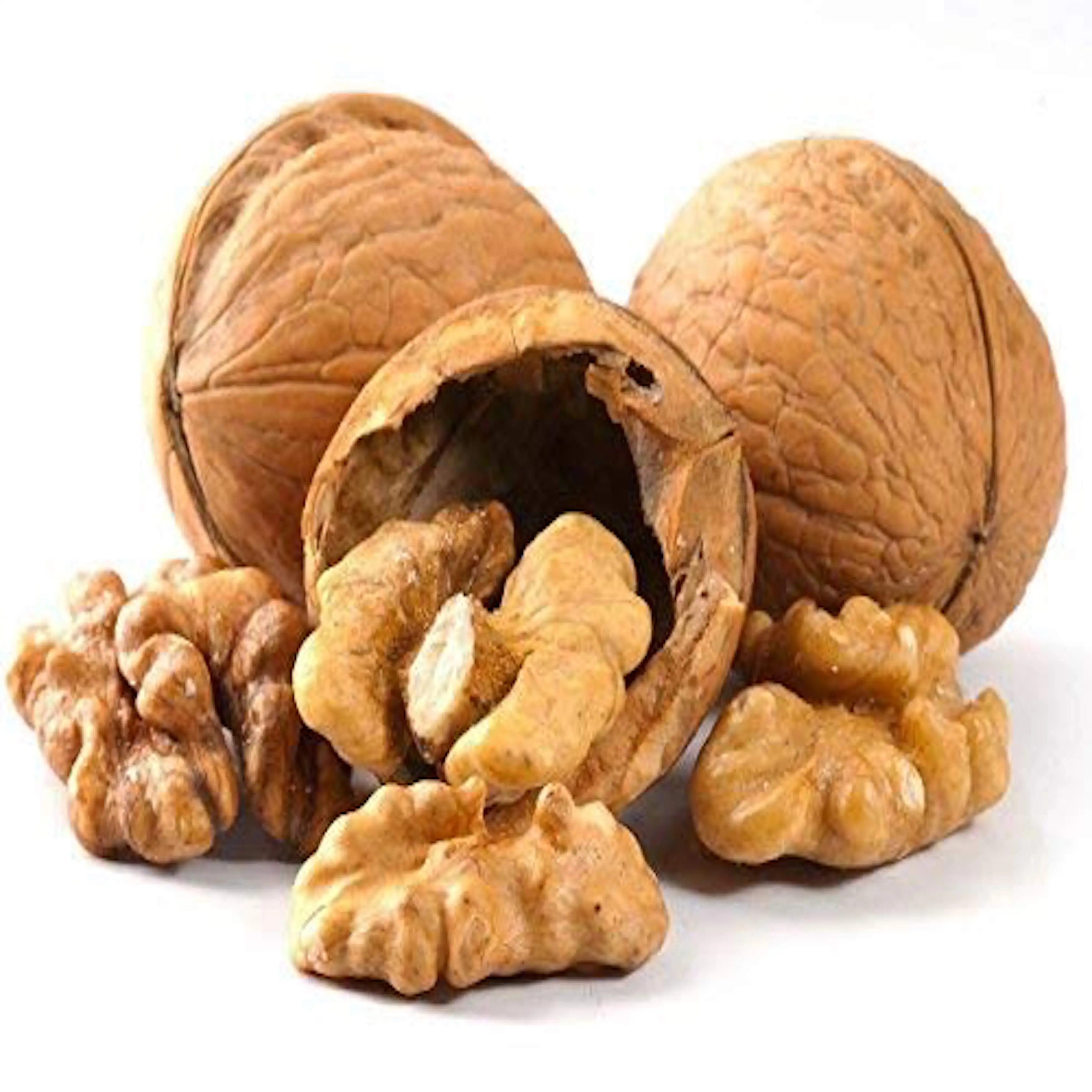 walnuts.jpg