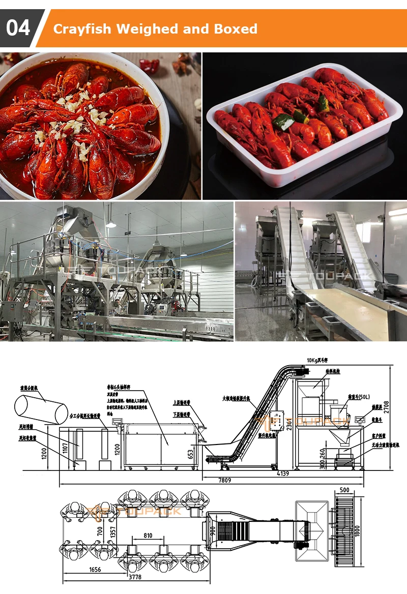 Automatic Multihead Weigher Packing Machine for Food Industry with 5-50 Bag/min Granule Filling