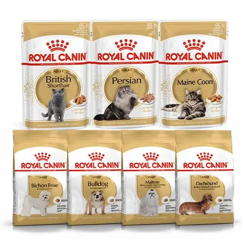 Wholesale Royal Canin Dry And Wet Pet Food For Sale Buy Bulk Dry Cat