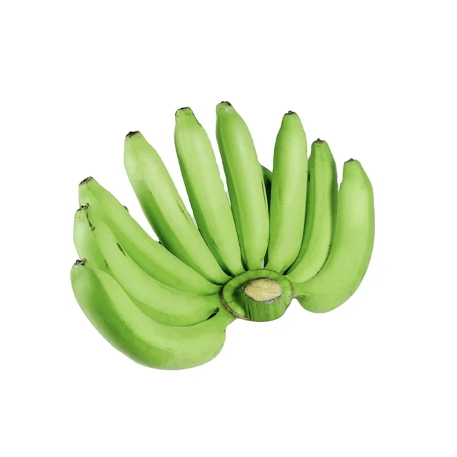 Factory Supply Organic Fresh Cavendish Banana Green Fruit Packaging Wholesale Available
