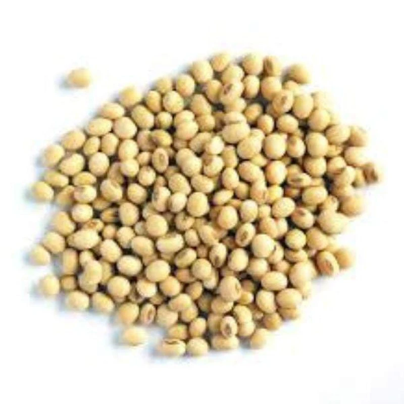 soyabean_600x.jpg