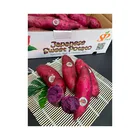 High Quality Best Seller Sweet Purple Potatoes Delicious Fresh Vegetable Imported From Thailand