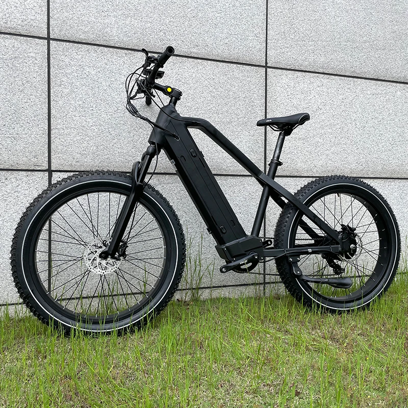 1000w 52v electric bike