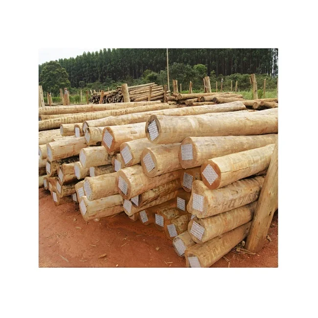 Eucalyptus Wood Log.jpg