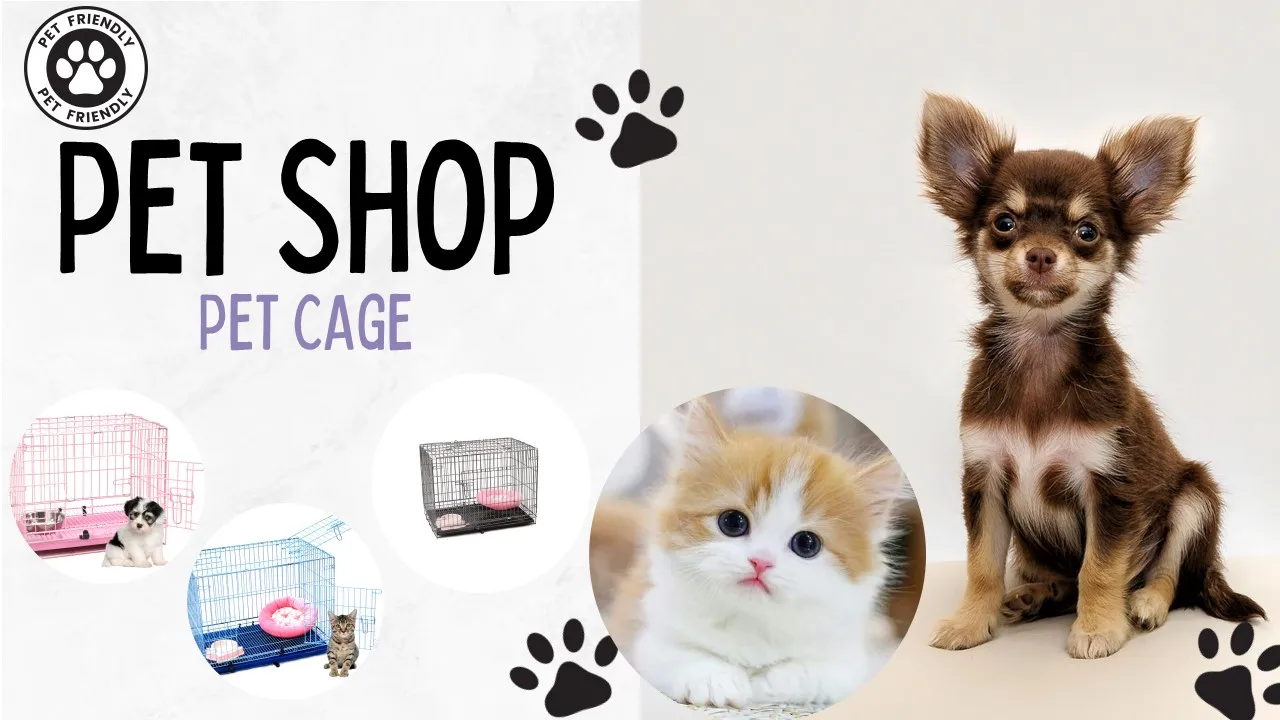  Discover the Best Pet Store in Branson, MO: Your Ultimate Guide to Pet Supplies and Services