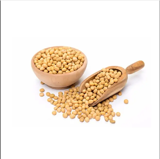 Soya Beans 01.JPG