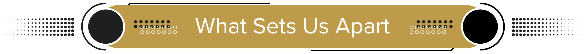 What Sets Us Apart t.png