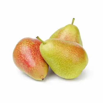 High quality Fresh Sweet pears For Export