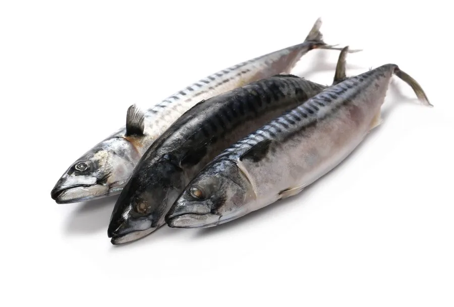 Land Frozen Mackerel Fish Sea Frozen Pacific Mackerel Fish Prices Whole Round