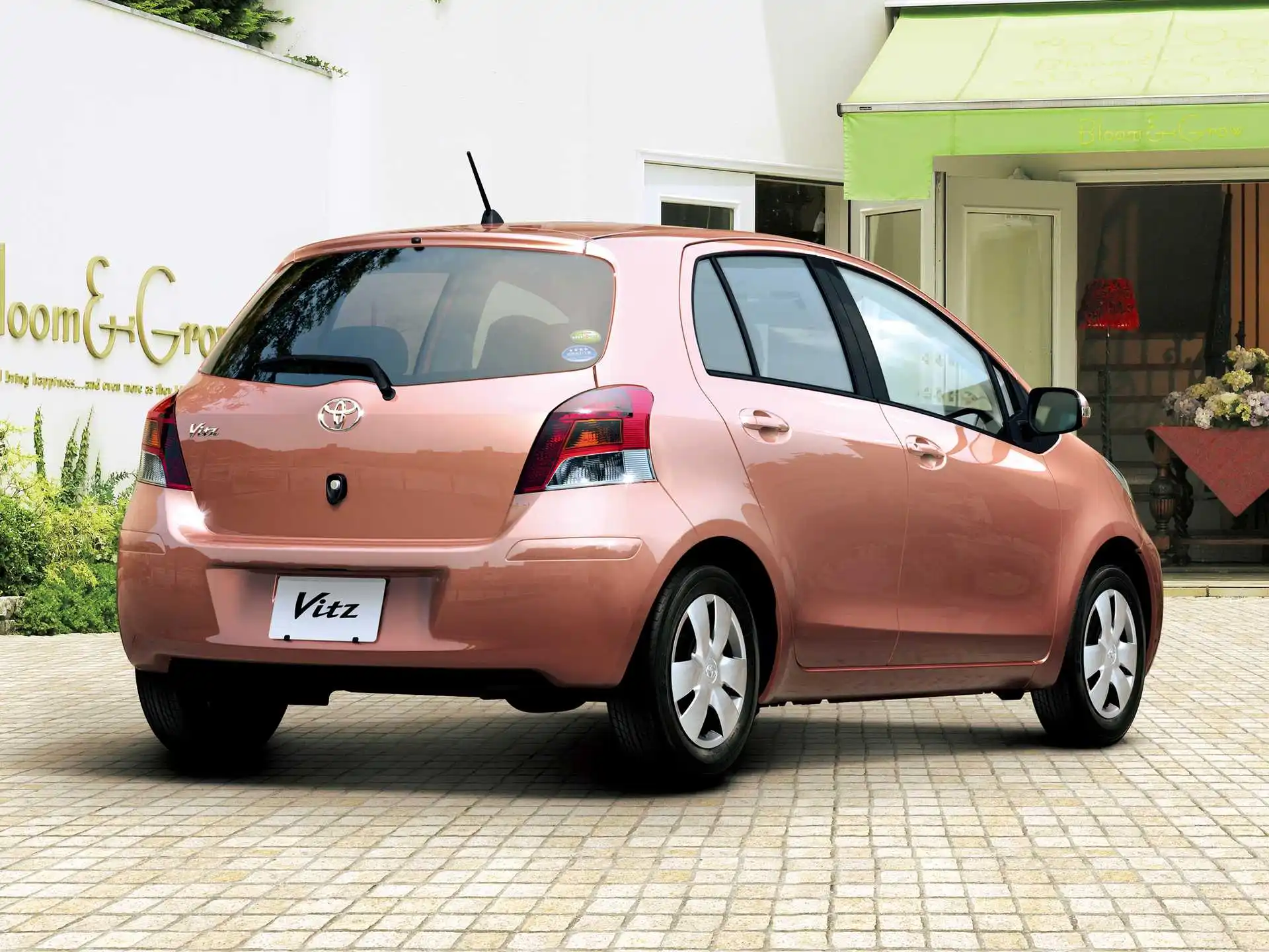 Vitz8.jpg