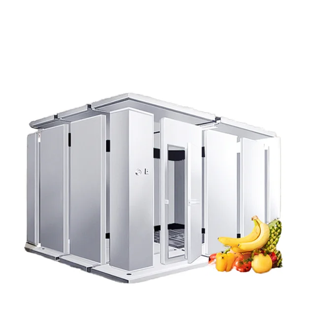 China Cold Room Vegetable Fresh-Keeping Freezer Machine Used Condition Refrigerated Chiller with Air Compressor Furit Container