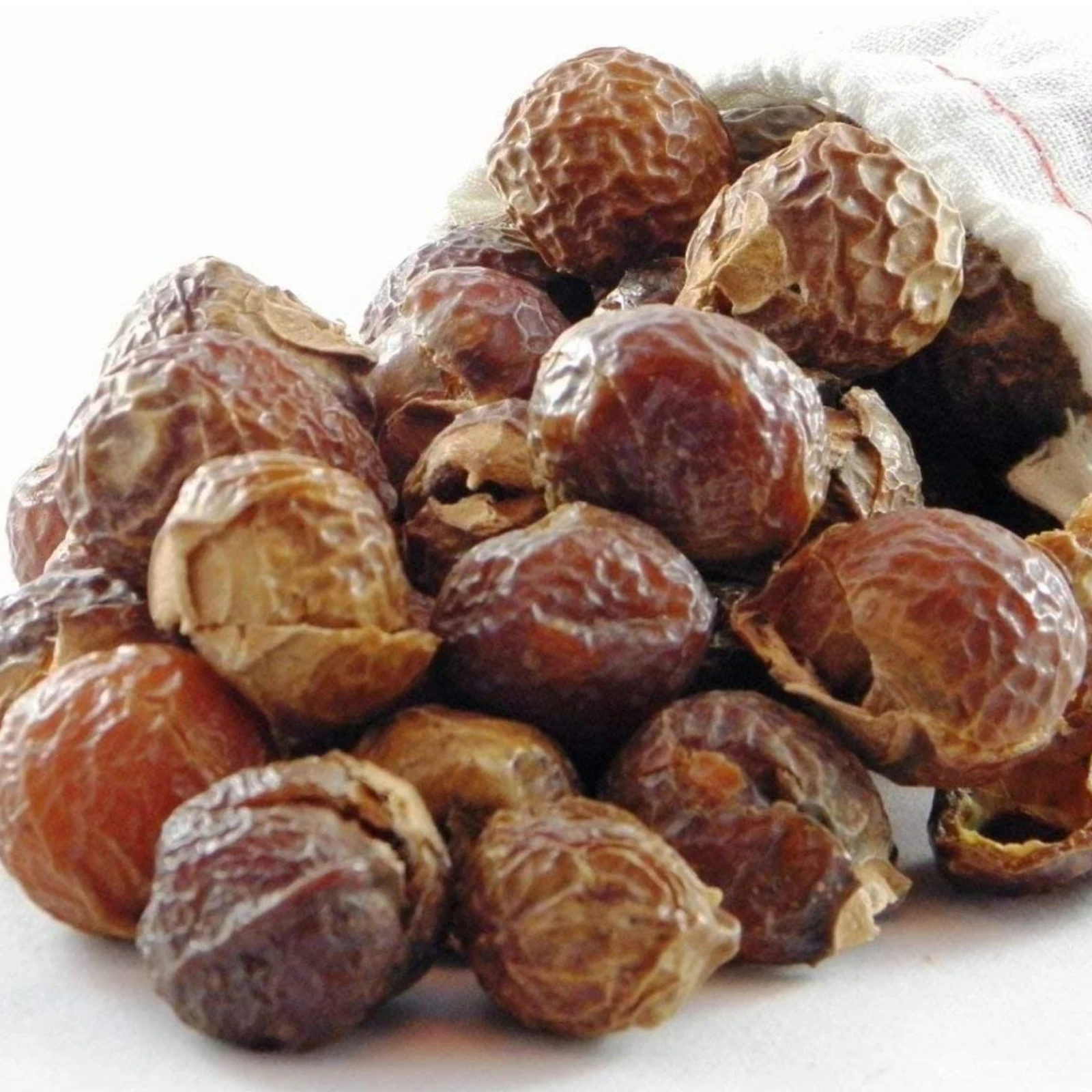 soap nuts 4 (2).jpg