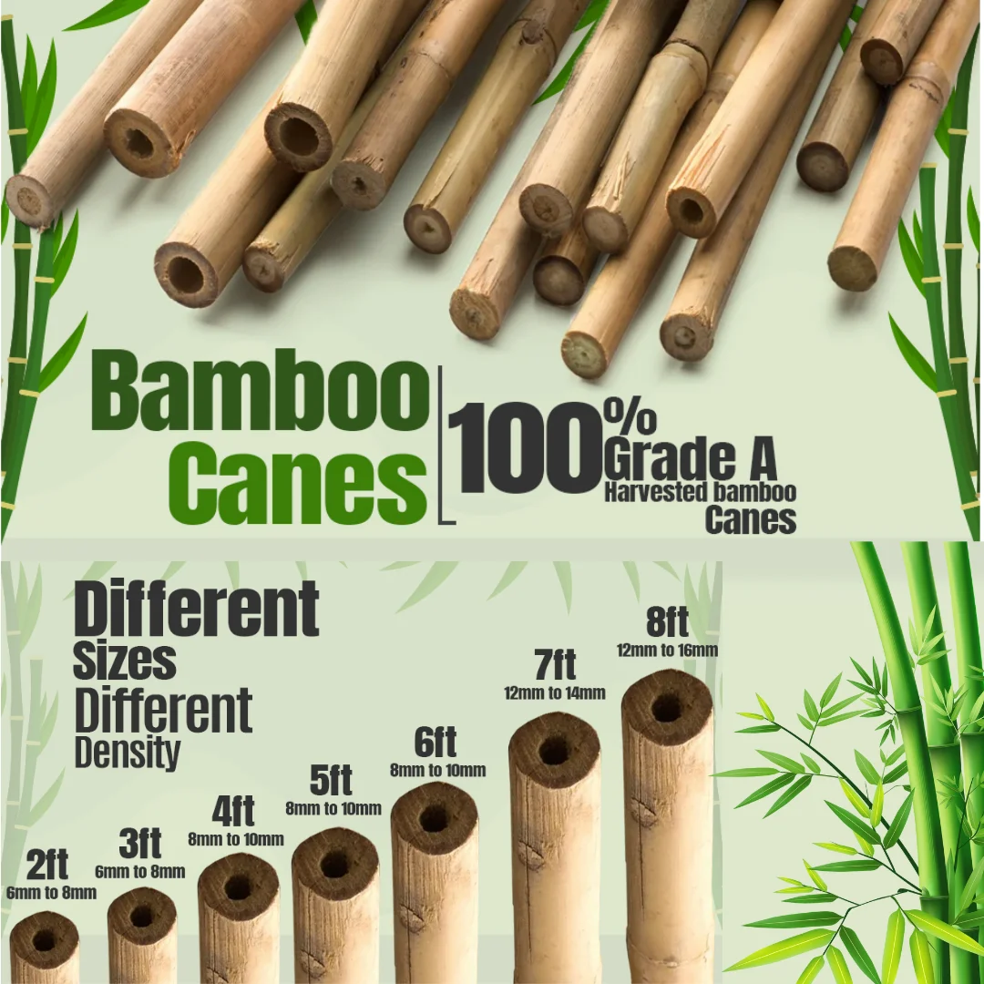 bamboo stakes