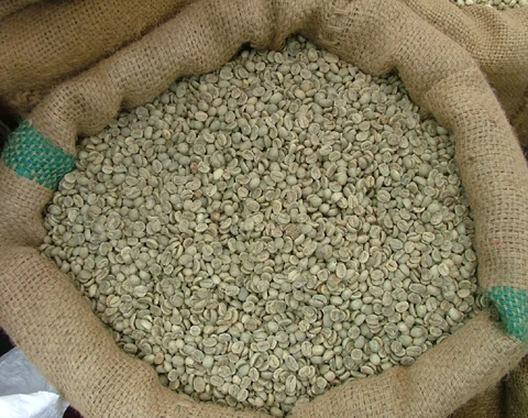 coffee beans.jpg