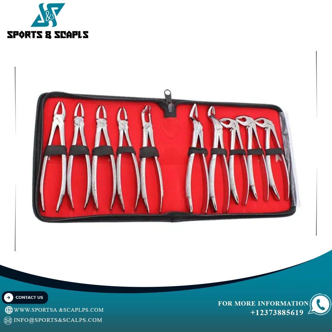 Tooth Extracting Forceps Pliers For Adult 10 Pcs Set Extraction Forceps