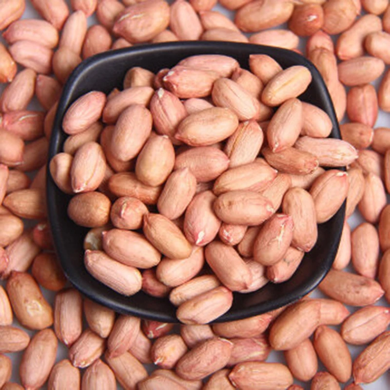 Wholesale Peanuts Organic Peanut Kernels Best Price Raw Peanuts for Healthy Snacks