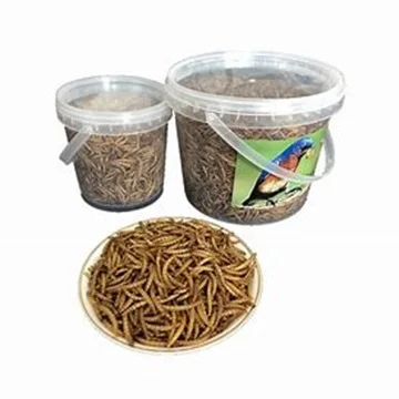 Dried Mealworm.26.jpg