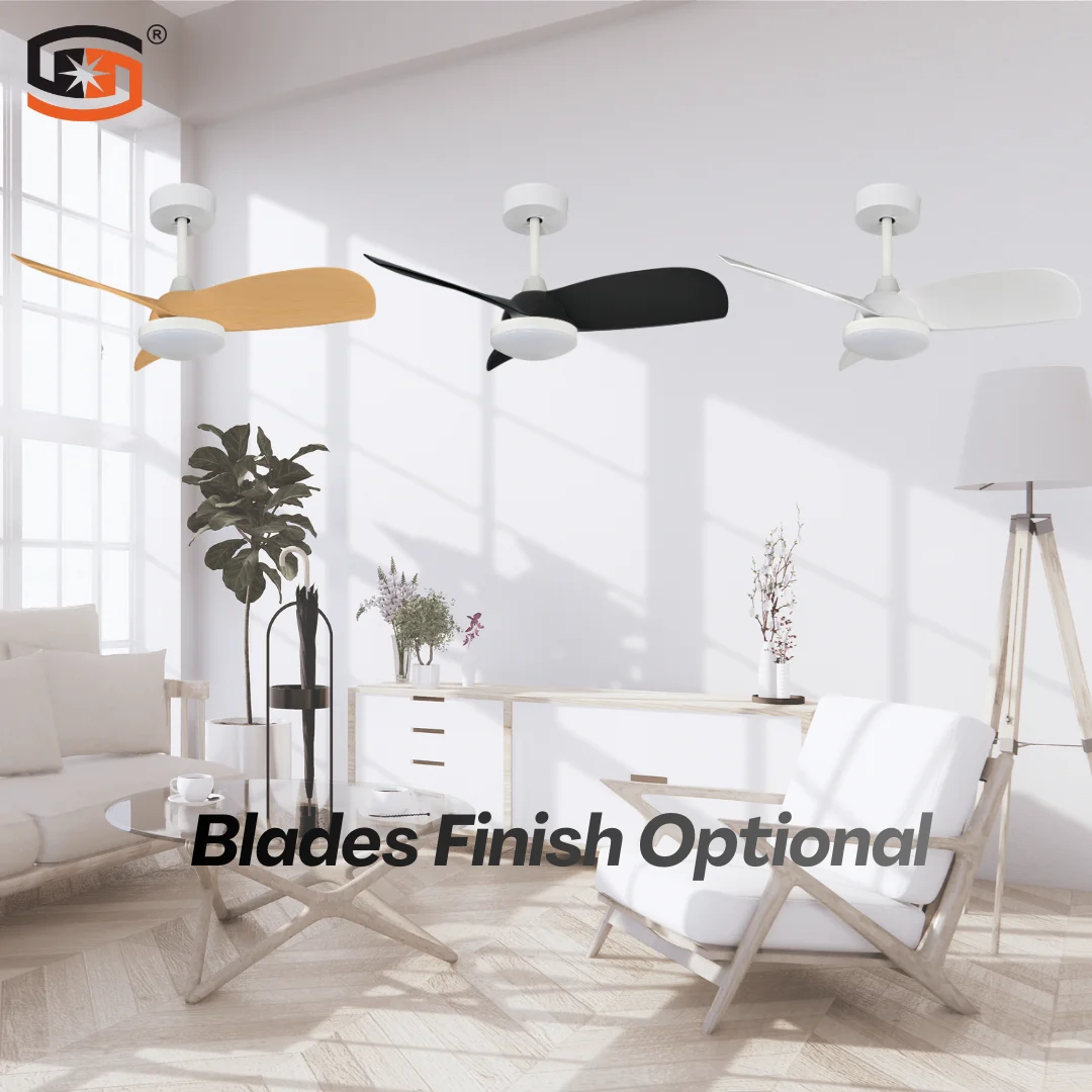 Ceiling Fan, BLDC, SD-CF032 - detail 16