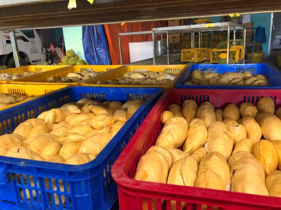 Monthong Durian Made In Vietnam So Fresh Premium Quality Frozen Whole