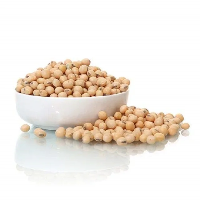 Soybeans High Quality Non Gmo Yellow Dry Soybean Seed Non Gmo Soya