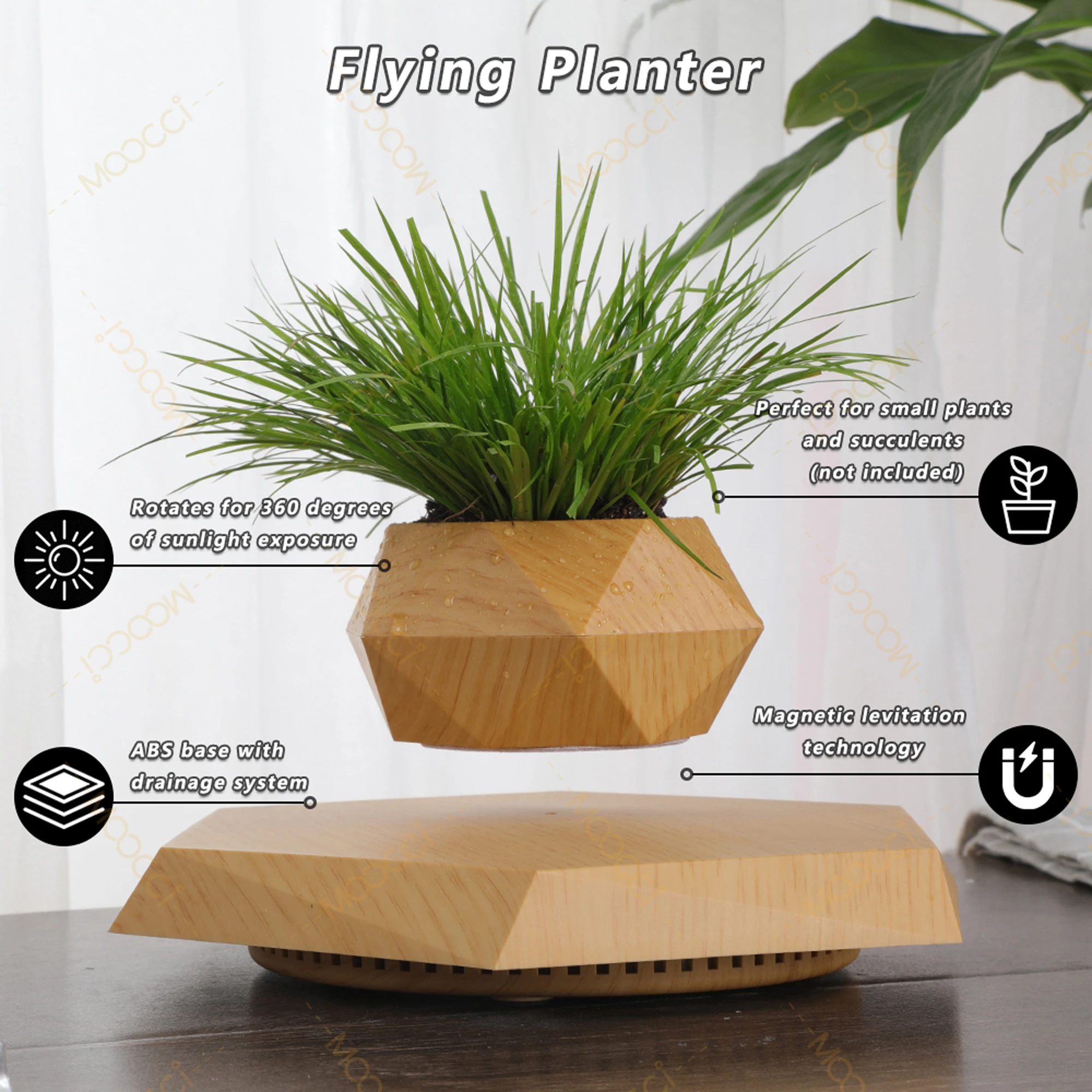 Flying Plant Pot (7)